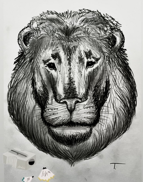 Kresba lva