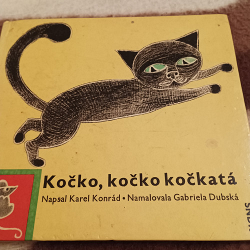 Kočko, kočko kočkatá