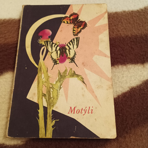 Motýli rok 1956