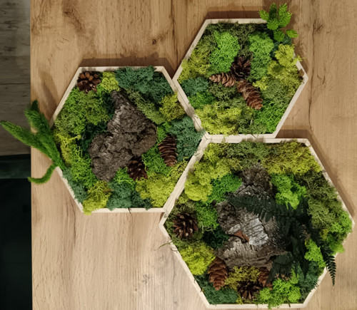 Mechové obrazy Hexagon sada 3 ks