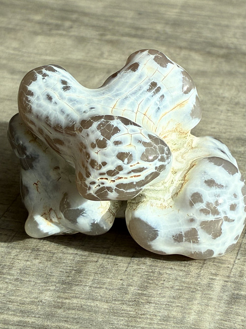Achát ,,Snake skin”- přírodní minerál Oregon USA