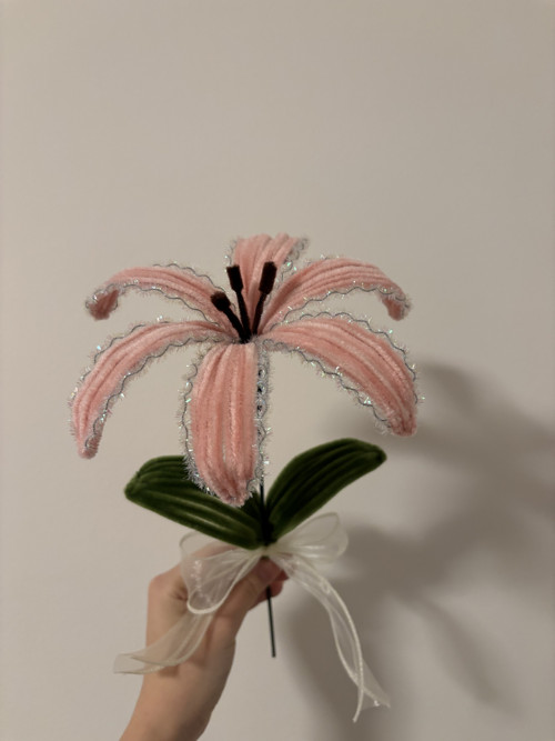 Nevadnoucí lilie růžová