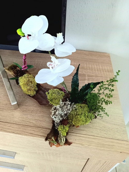 Tam kde roste orchidej