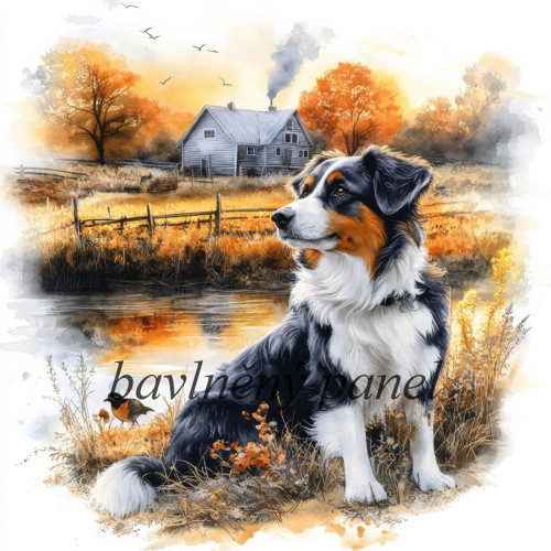 Bavlněný panel FAR 61