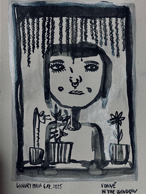 V okně/ In the Window