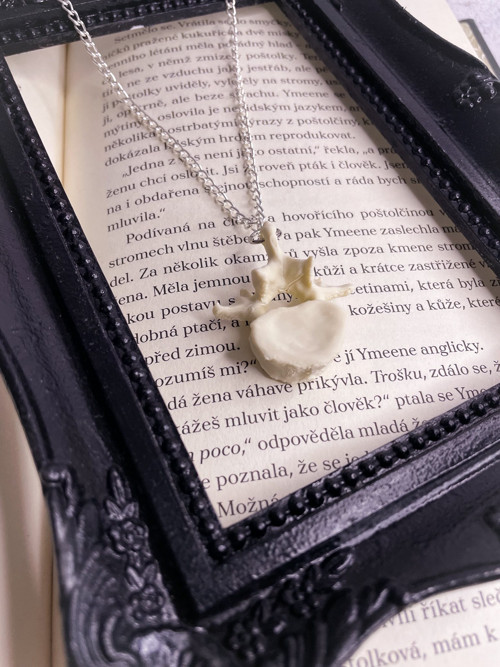 Náhrdelník Vertebrae řetízek 2