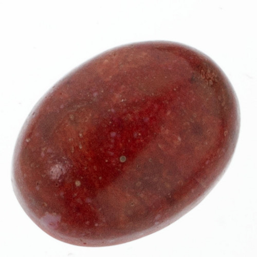 Korál houbový- kabošon, 20x15 mm