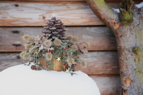 Pinecone