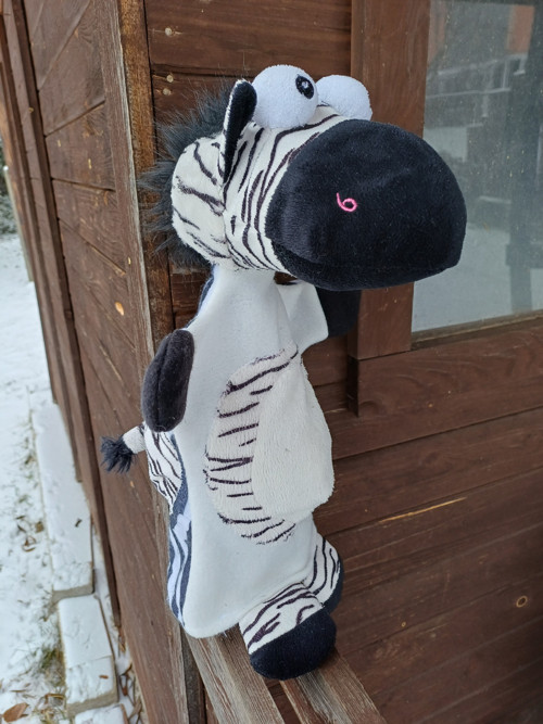 Zebra