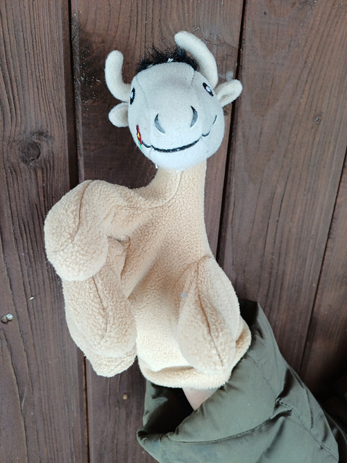 Býk