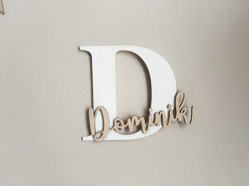 JMÉNO S INICIÁLOU Dominik #1