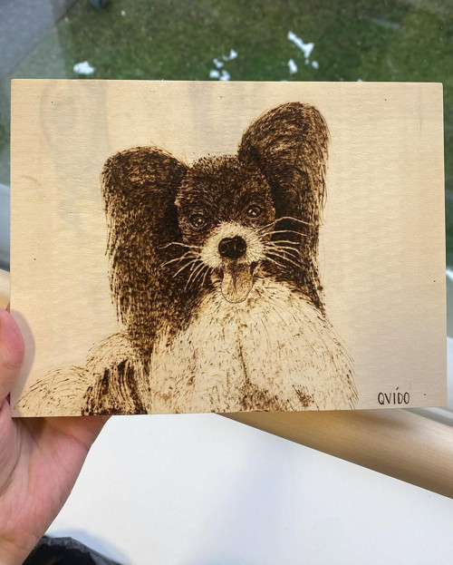 Portrét zvířete 21x14,8 cm (dle fotografie)