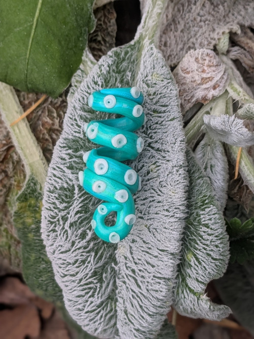 Kratší chapadélko — foto 1