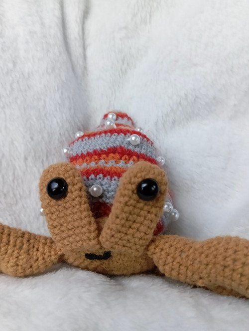 Krab poustevník Drahoslav