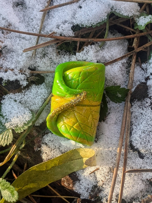 Letní lístek — foto 1