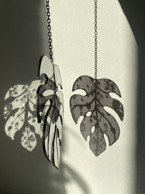 Monstera — foto 1