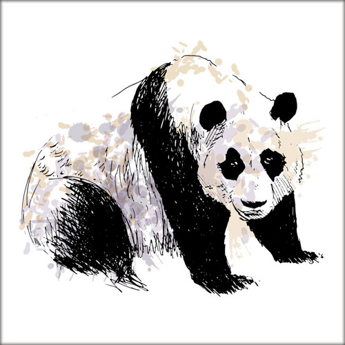 Ilustrace - Panda