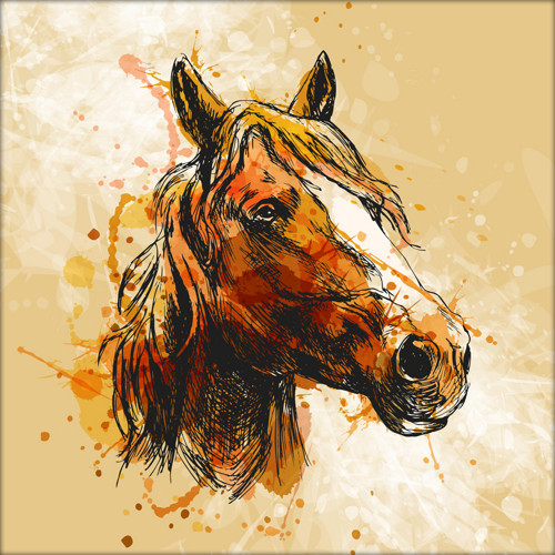 Ilustrace - hlava koně
