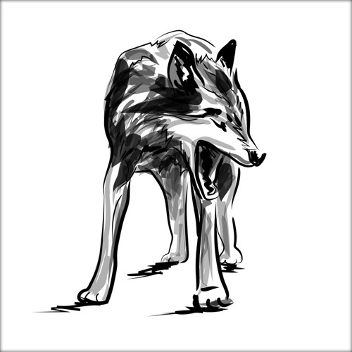 Ilustrace - vlk
