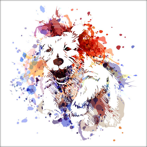 Barevná ilustrace - běžící pes — foto 1