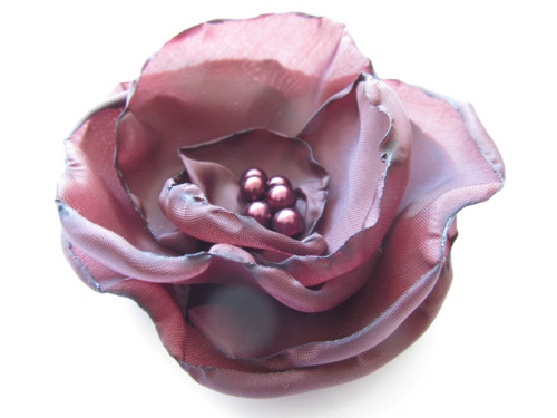 Black Forest Rose®..Kolekce Odrůdy růží... — foto 1