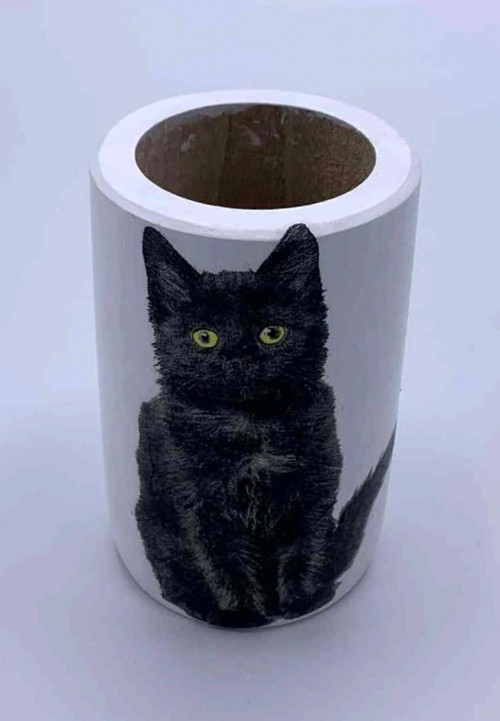 Tužkovník ,,Kočičí dáma"