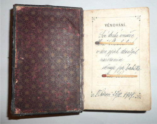 TŘEBÍZSKÝ: Pomněnky ve vínek nebeský, 1884