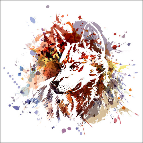 Barevná ilustrace - vlk