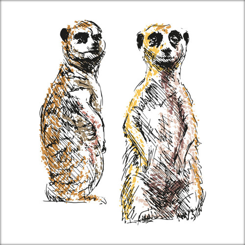 Barevná ilustrace - surikaty