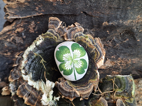 Talisman pro štěstí - čtyřlístek — foto 1