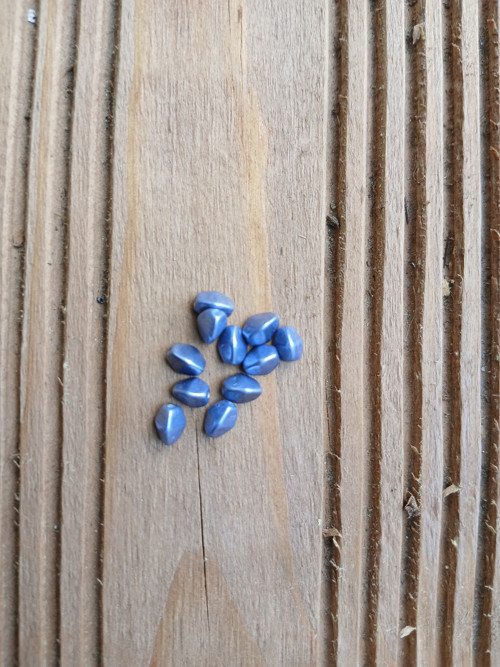 Skleněný korálek - POHANKA. Velikost 5x3mm.