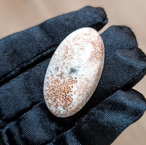 Skolecit, ID 5440, 41x24 mm - výprodej