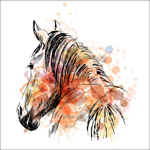Barevná ilustrace - kůň