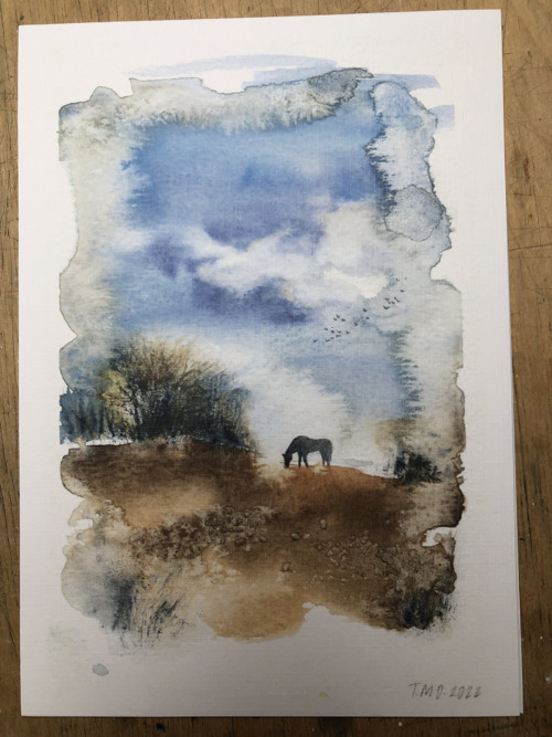 Koník print A5