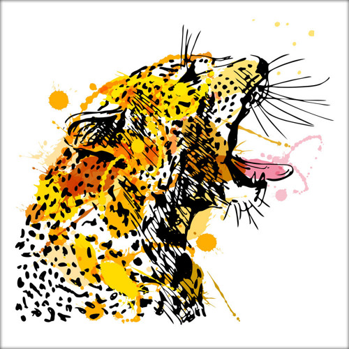 Barevná ilustrace - leopard