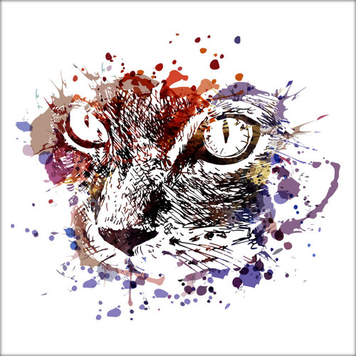 Barevná ilustrace - detail kočičí tváře