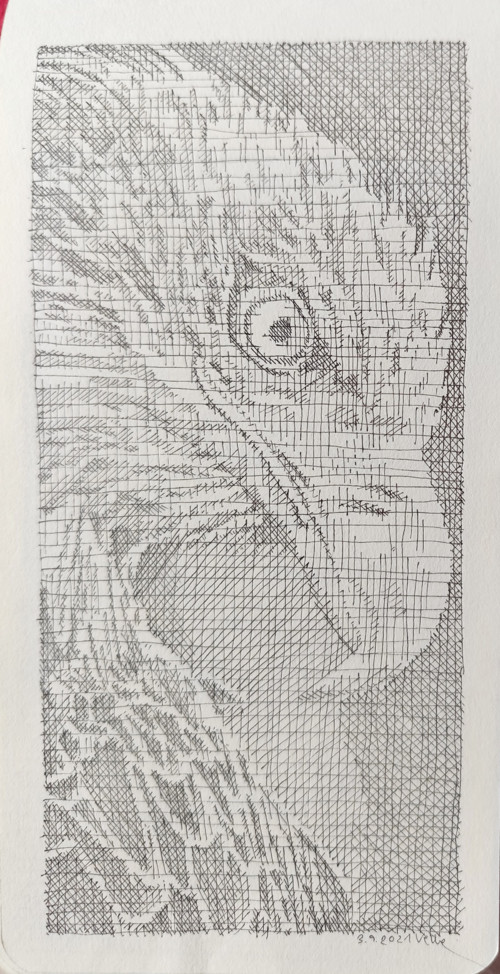 Dravec II