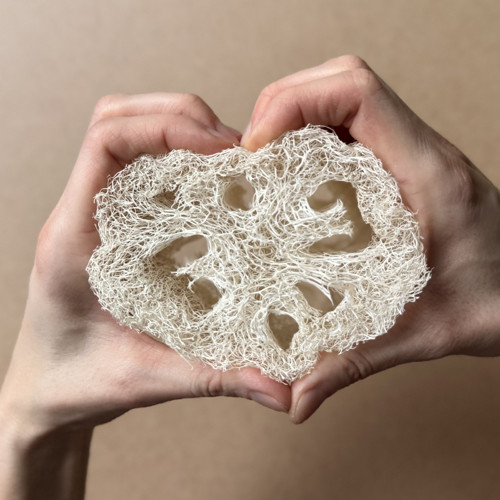 Lufa houbičky - 3 ks - velké