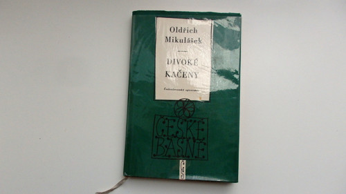 Divoké kačeny — foto 1