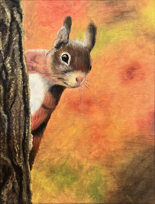 Reprodukce na plátně – Veverka 40×30