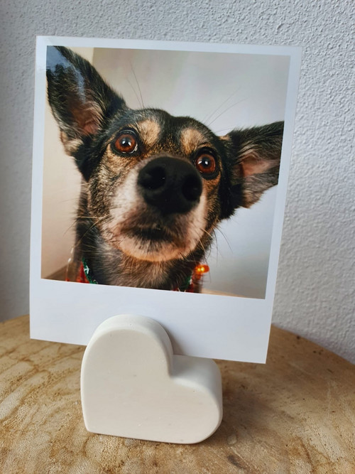Srdce stojan na fotografii