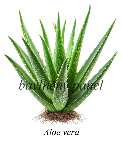 Bavlněný panel aloe