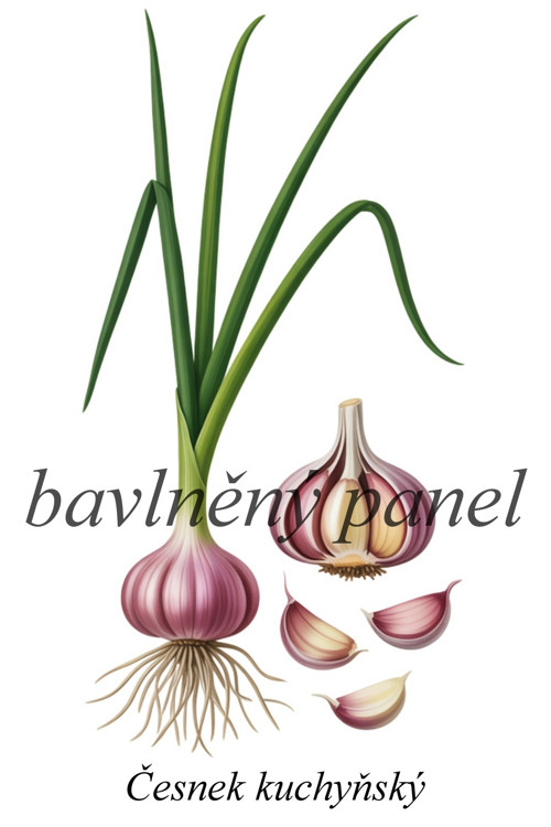 Bavlněný panel česnek — foto 1