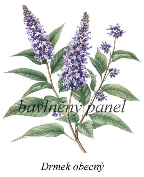 Bavlněný panel drnek — foto 1
