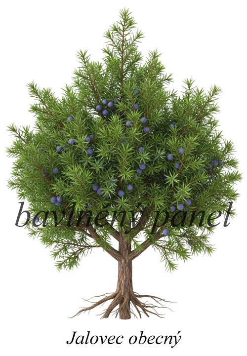 Bavlněný panel jalovec — foto 1