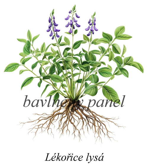 Bavlněný panel lékořice — foto 1
