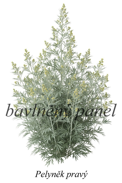 Bavlněný panel pelyněk — foto 1