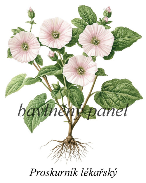 Bavlněný panel proskurník — foto 1