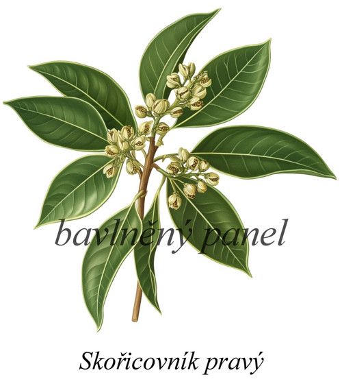 Bavlněný panel skořicovník — foto 1
