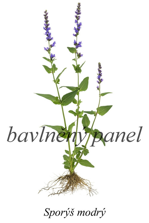 Bavlněný panel sporýš — foto 1